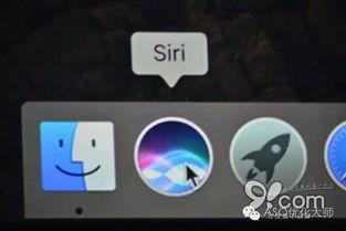 siri 视频,视频揭秘其强大功能与操作技巧