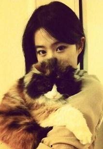 女明星猫墨镜,女明星墨镜时尚秀