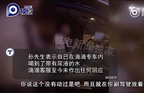 水仙 滴滴 视频,一场视觉与情感的交融之旅