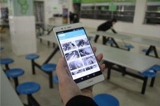 校园视频在线播放,在线重温精彩视频盛宴