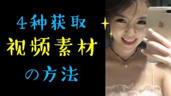 无码无水印种子,探索数字世界的秘密通道