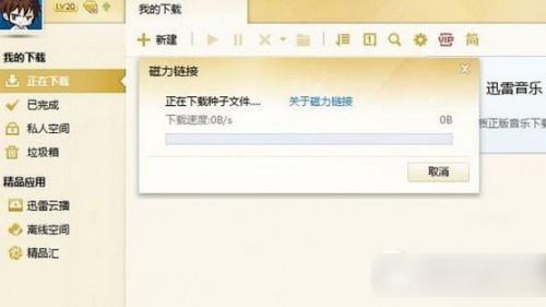 印度av磁力迅雷下载,揭秘热门影视资源获取之道