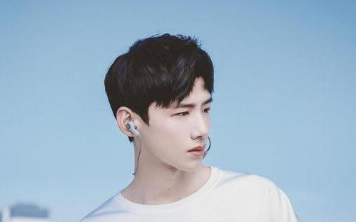 校草的明星,校草明星的璀璨人生