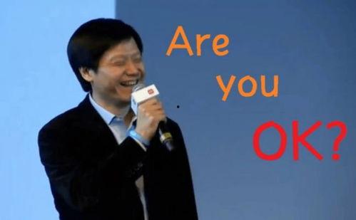 雷军印度发布会视频,产品发布与市场战略解析