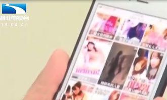 手机在线播放成人网,揭秘隐私与伦理的边界