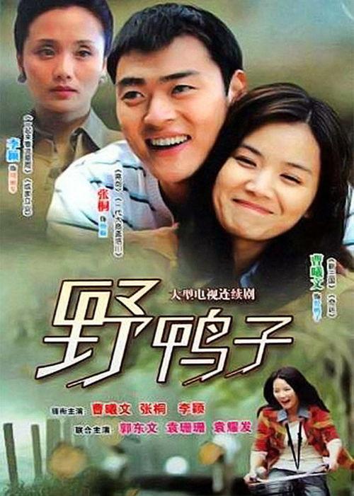 野鸭子tv 在线播放,在线观看的视听盛宴