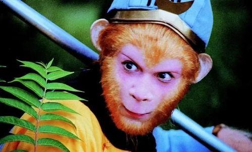 娱乐吃瓜酱孙悟空,娱乐吃瓜界的传奇英雄