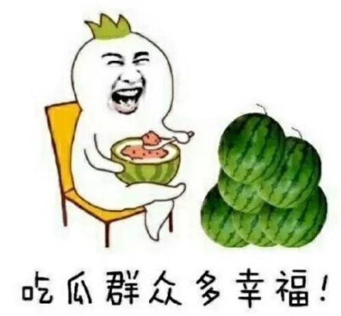 娱乐吃瓜场地是什么,探寻明星幕后故事的热门聚集地