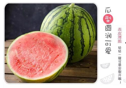 吃瓜分享